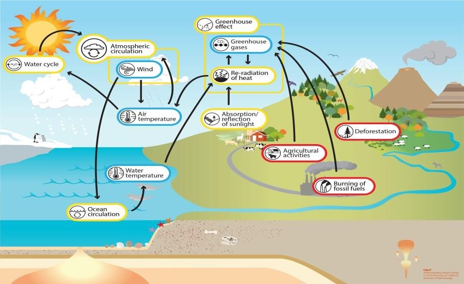 Global Atmospheric Circulation